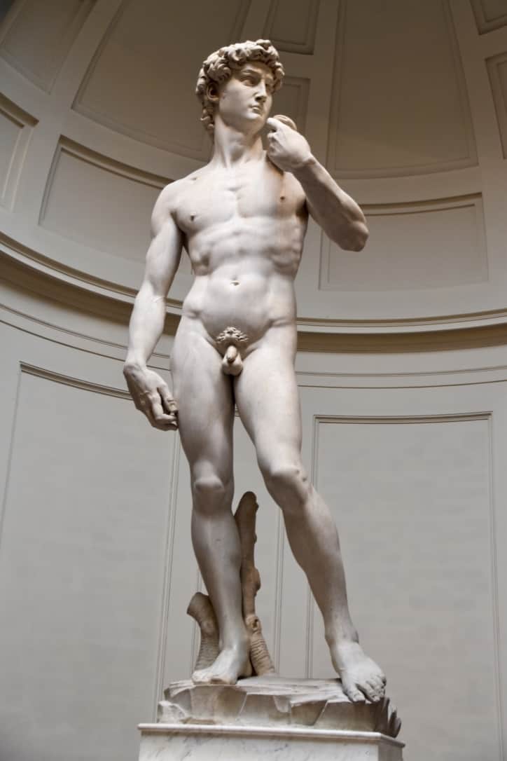 Michelangelo's David in the Accademia
